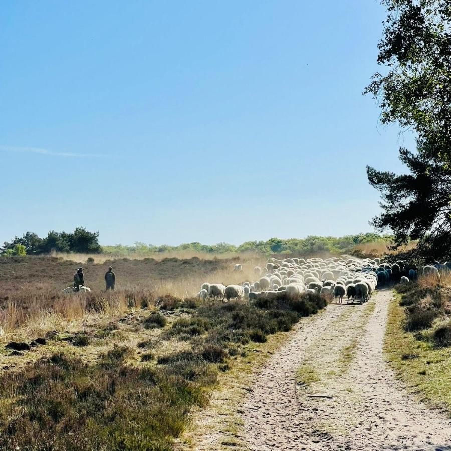 Luxe Vakantiehuis Huismus Veluwe Nunspeet Εξωτερικό φωτογραφία